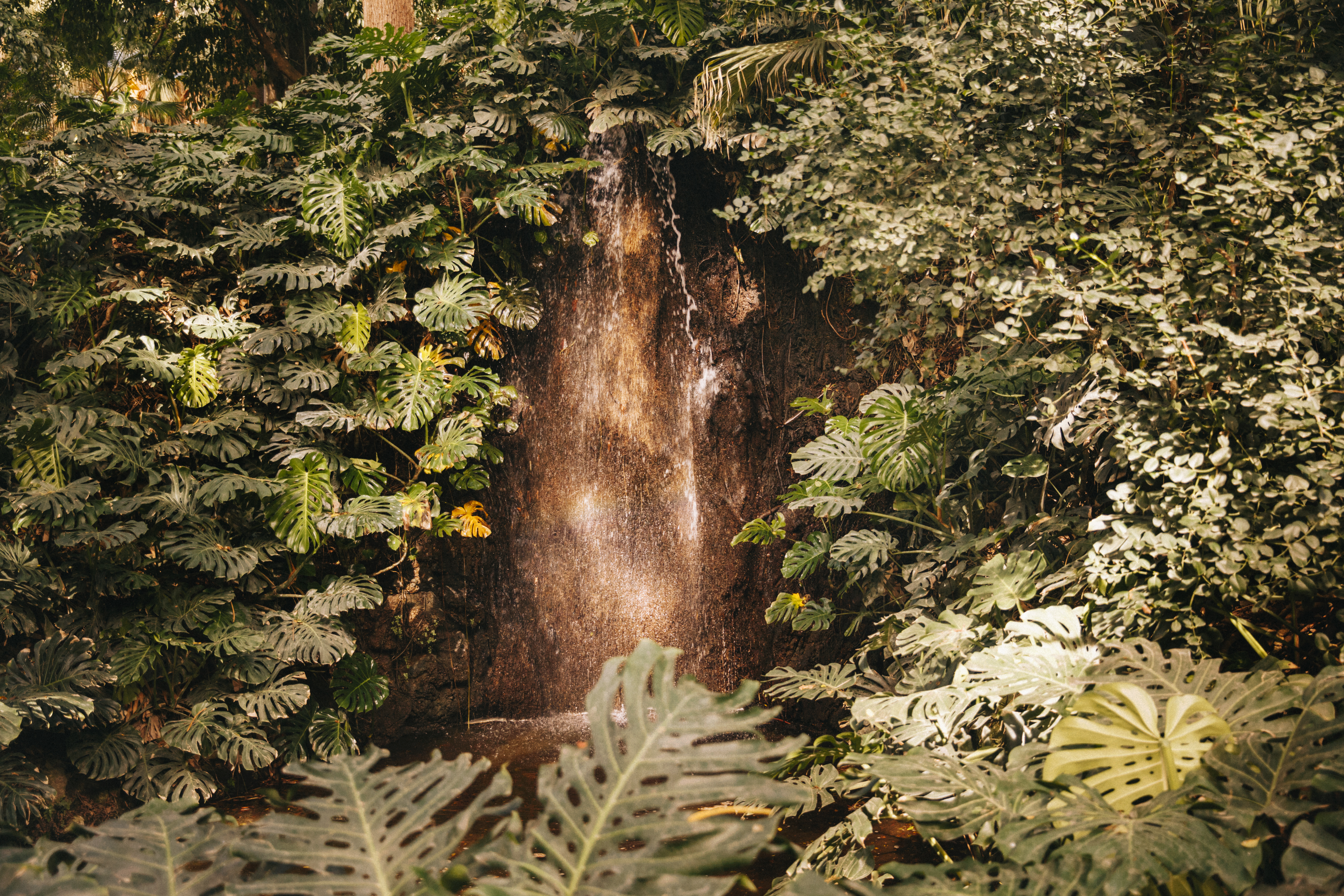 Foto — cachoeira em meio à mata